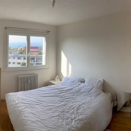 Appartement Avec Belle Vue Et Place De Parking Annemasse Exteriér fotografie