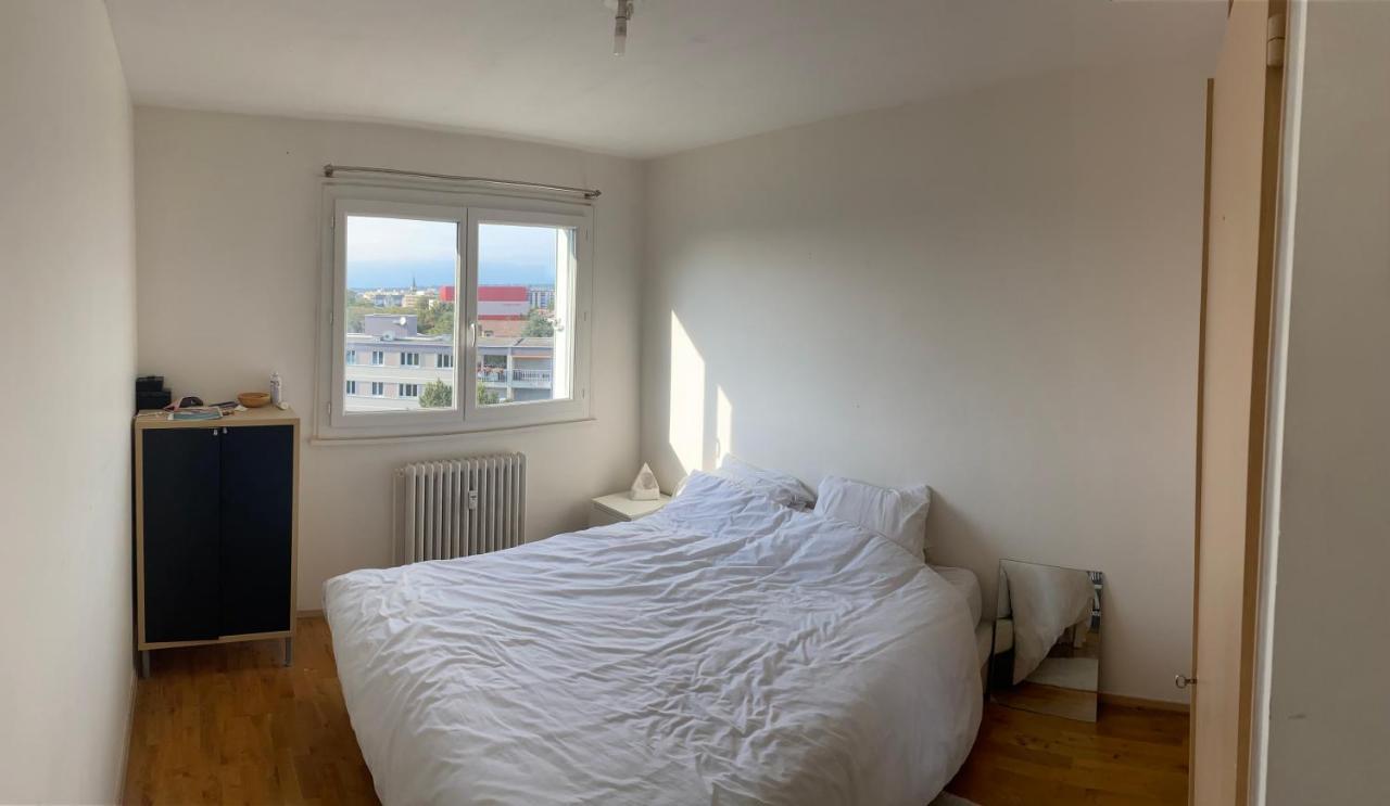 Appartement Avec Belle Vue Et Place De Parking Annemasse Exteriér fotografie